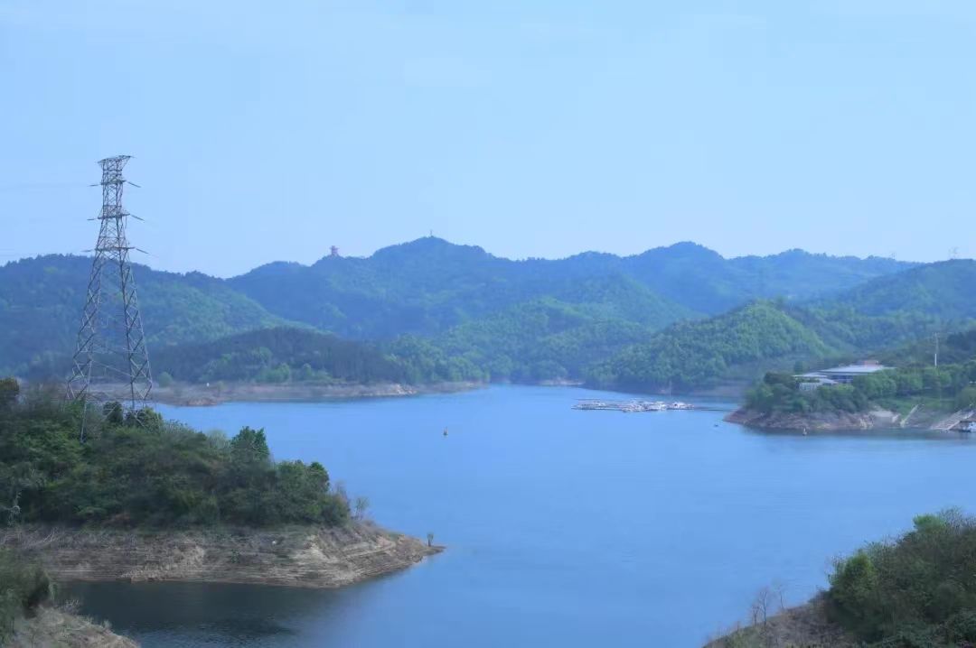 857体育直播图片