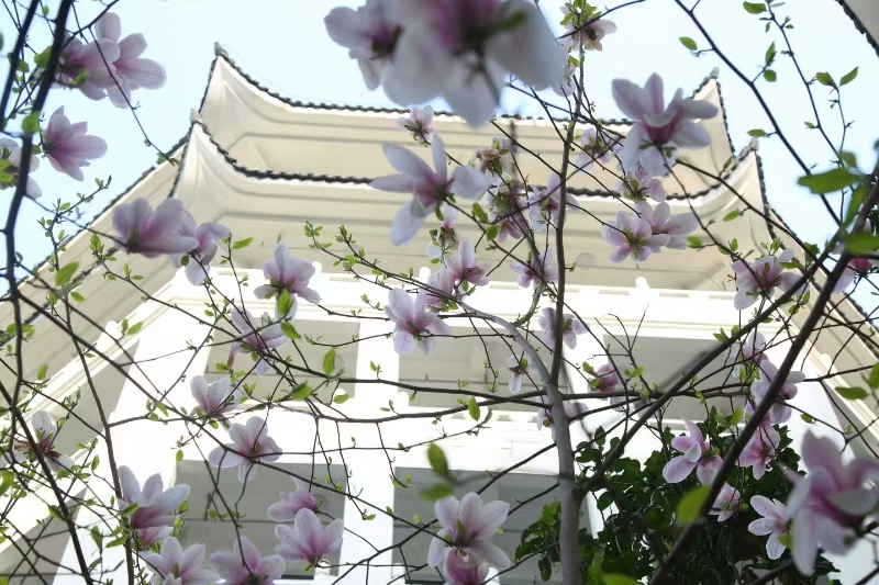 857体育客户端